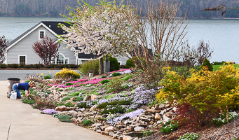 Giardinaggio al lago Watauga-Copyright 2020 Brian Raub